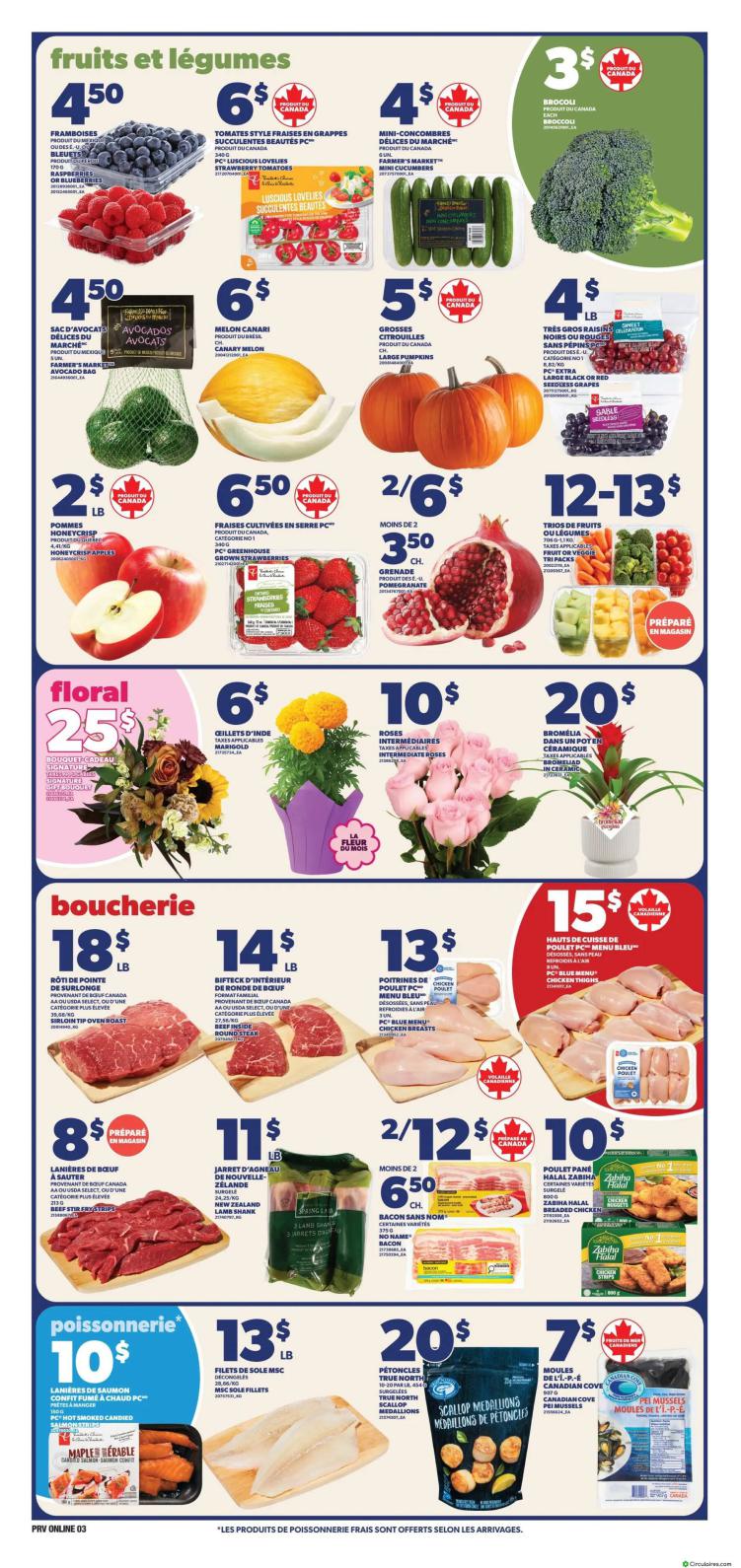 Provigo